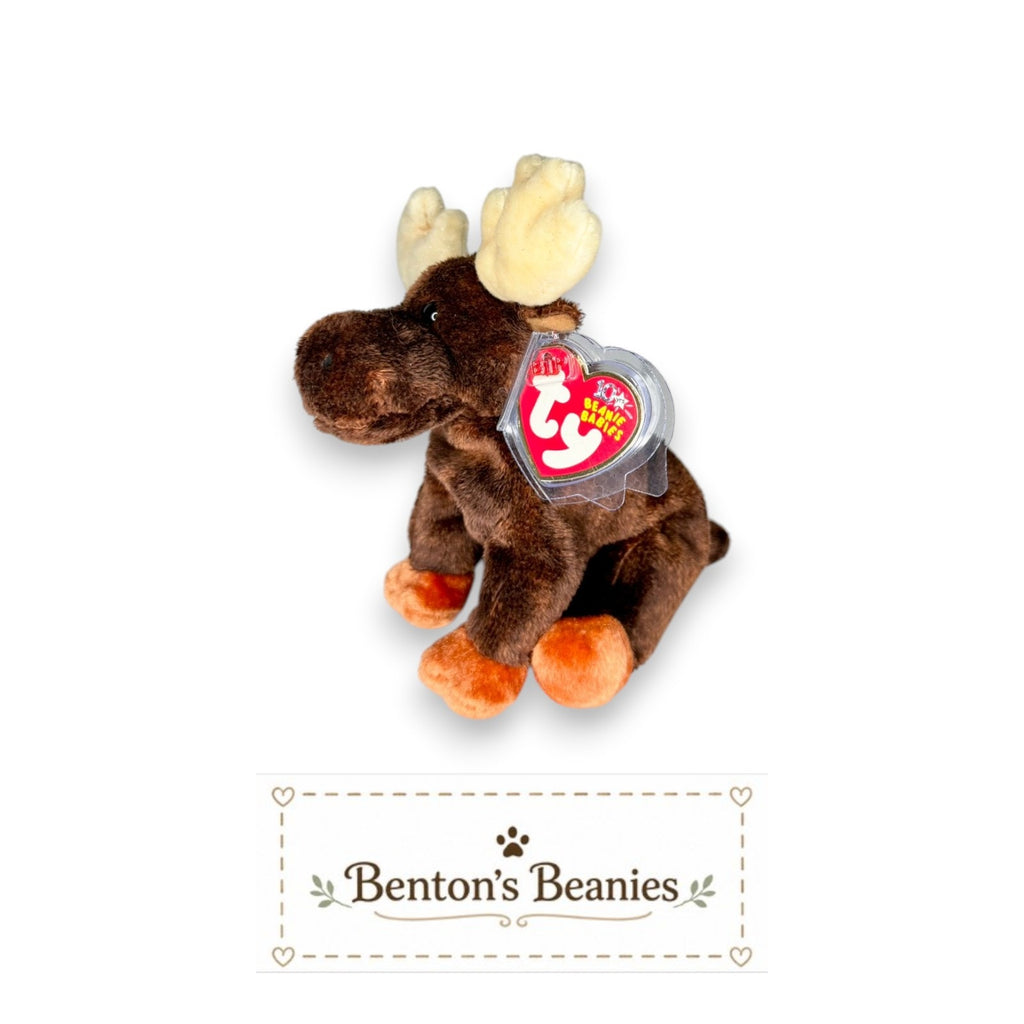 Zeus the Moose TY Beanie Baby | Mint Heart & Tush Tag