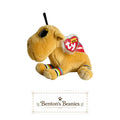 Jamal the Camel TY Beanie Boo | Mint Heart Tags