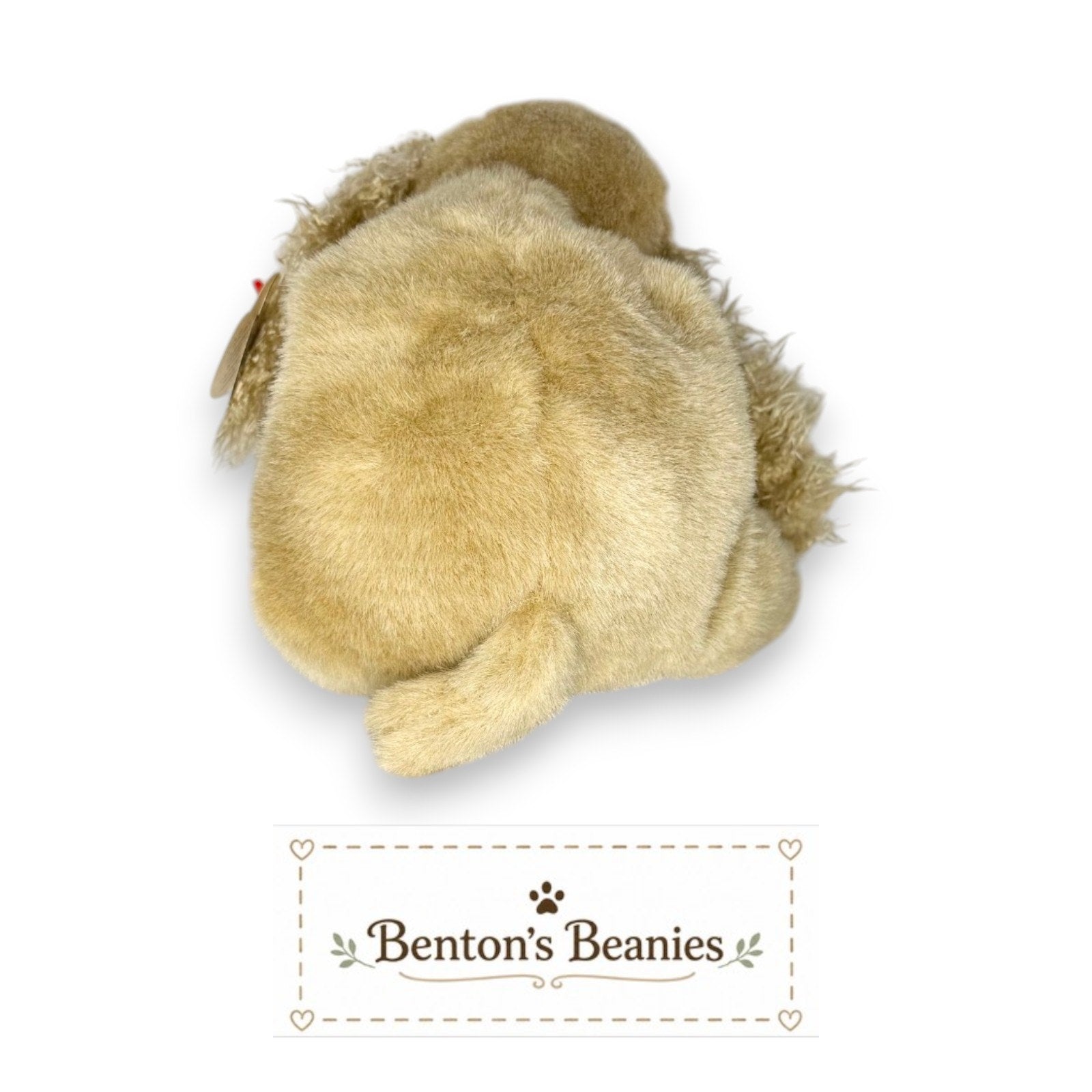 Charlie the Dog TY Classic (Beanie Buddies Size) | Mint Tags