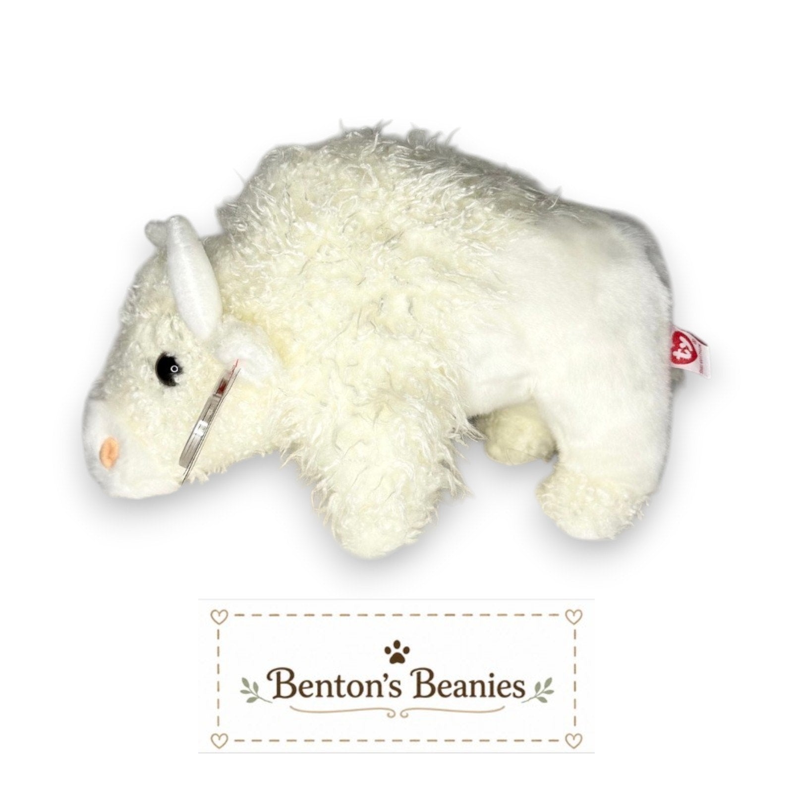 Roam the White Buffalo TY Beanie Buddy | Mint Tags