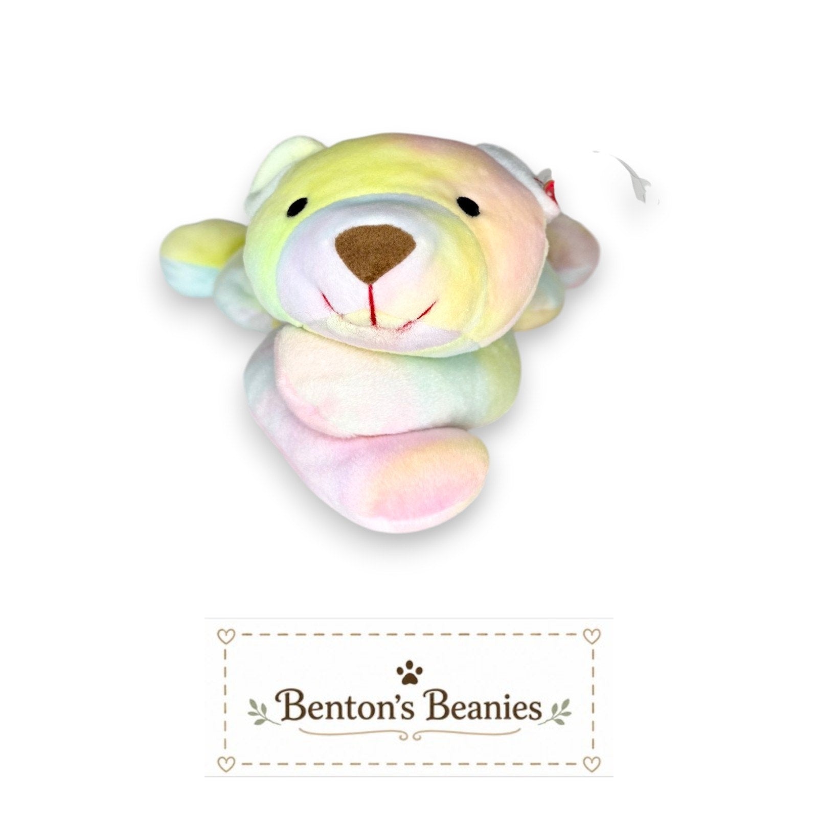 Sherbet the Rainbow Bear TY Pillow Pal | Mint Tags