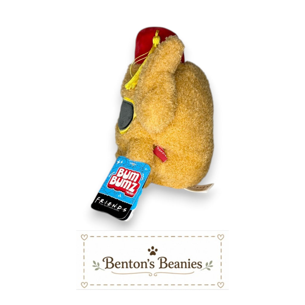 FRIENDS SET BumBumz Plush Collection – 4 Collectible Plush Characters