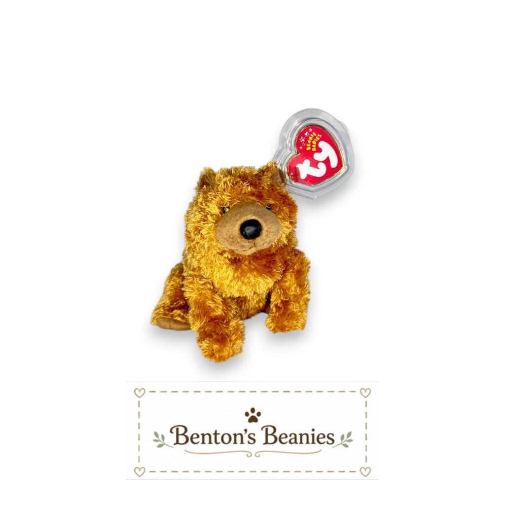 Sequoia the Bear TY Beanie Baby | Mint Heart & Tush Tag