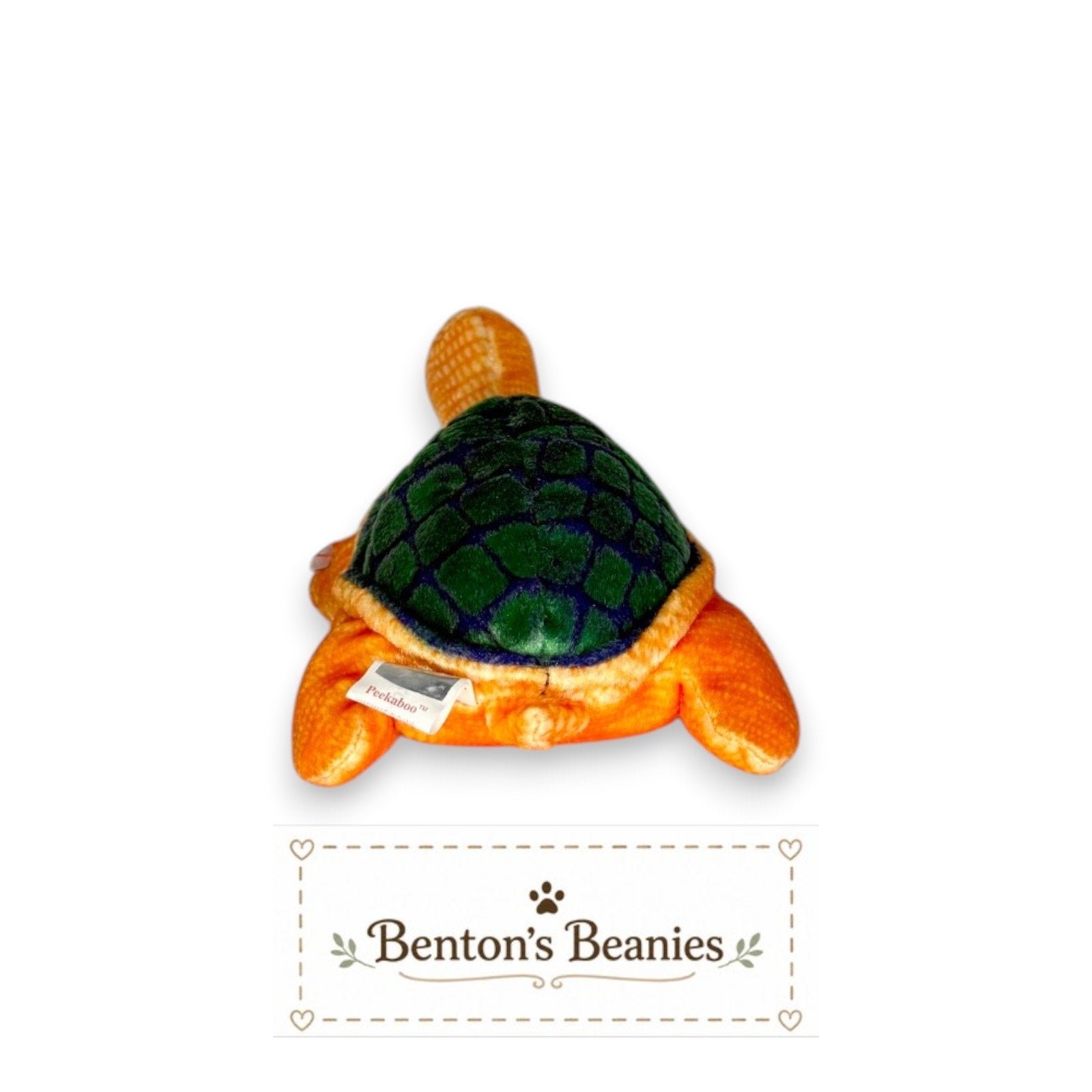 Peekaboo the Turtle TY Beanie Baby | Mint Heart & Tush Tag