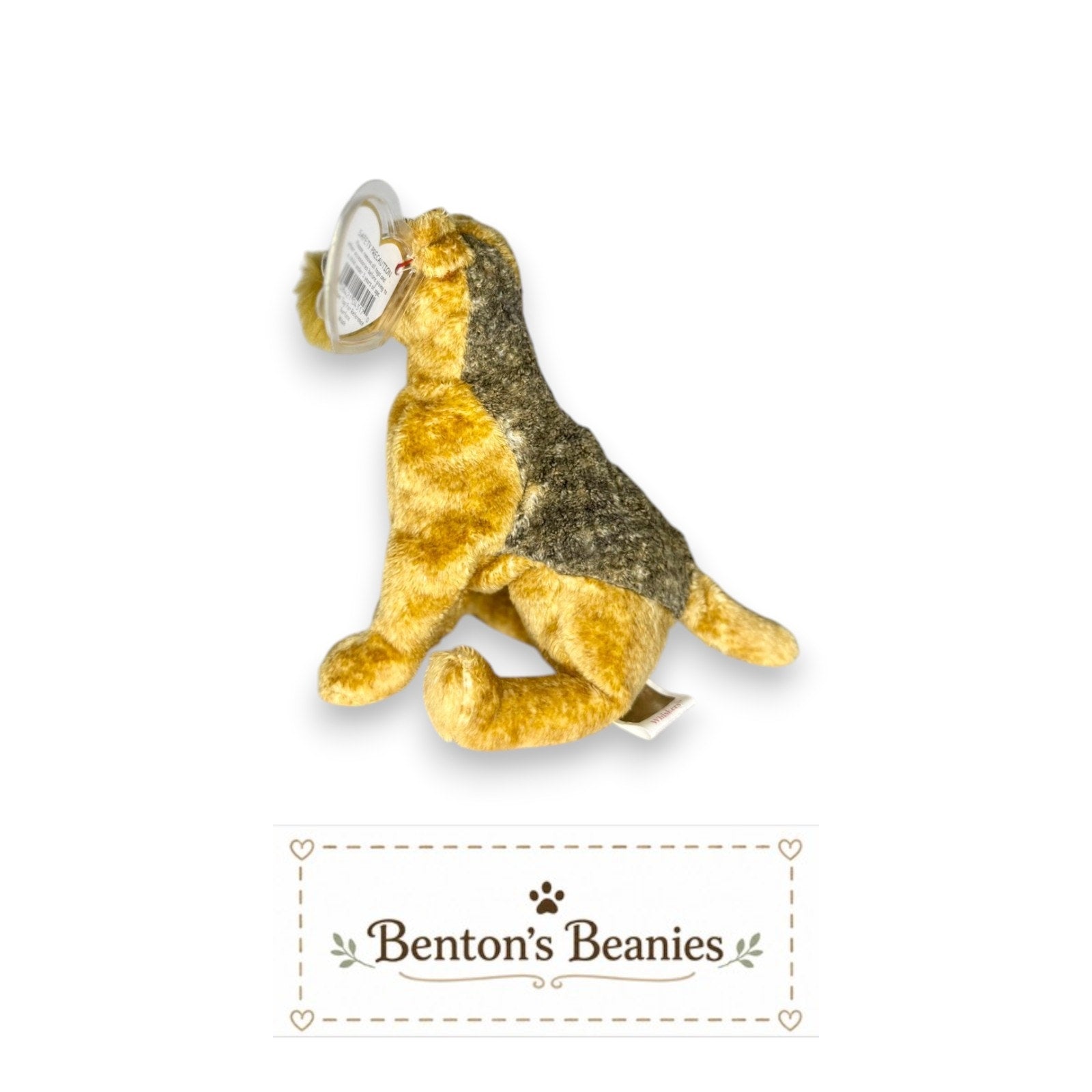 Whiskers the Dog TY Beanie Baby | Mint Heart & Tush Tag