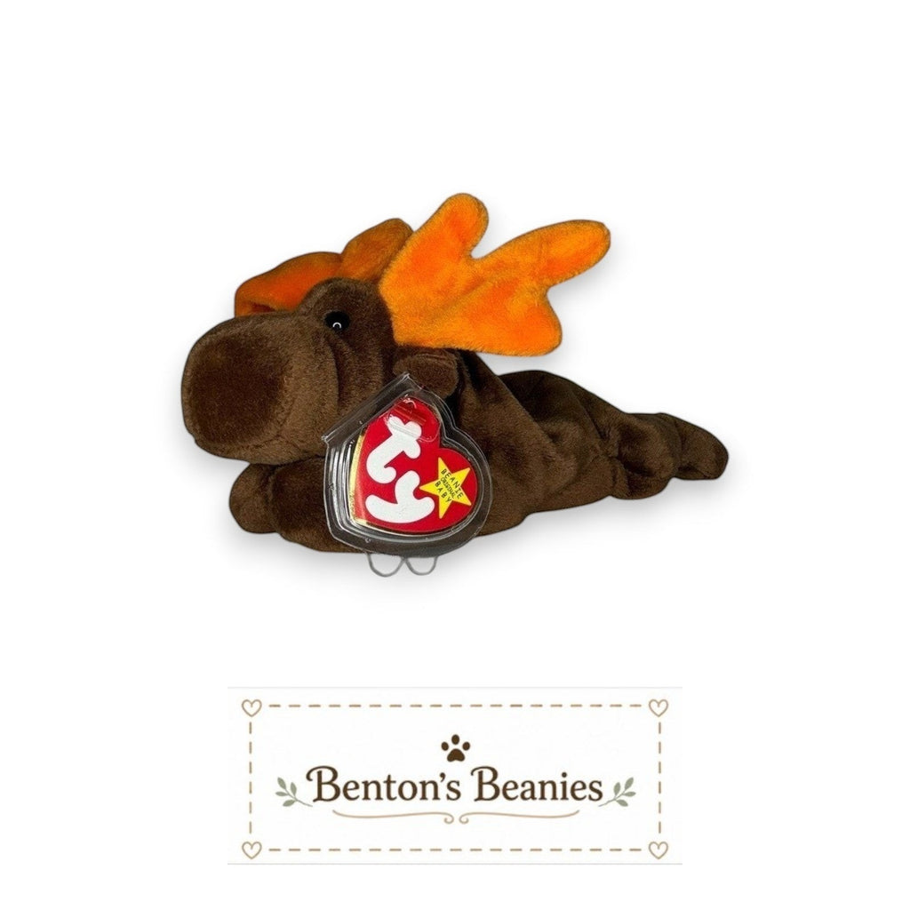Chocolate the Moose TY Beanie Baby  | Mint Heart & Tush Tag