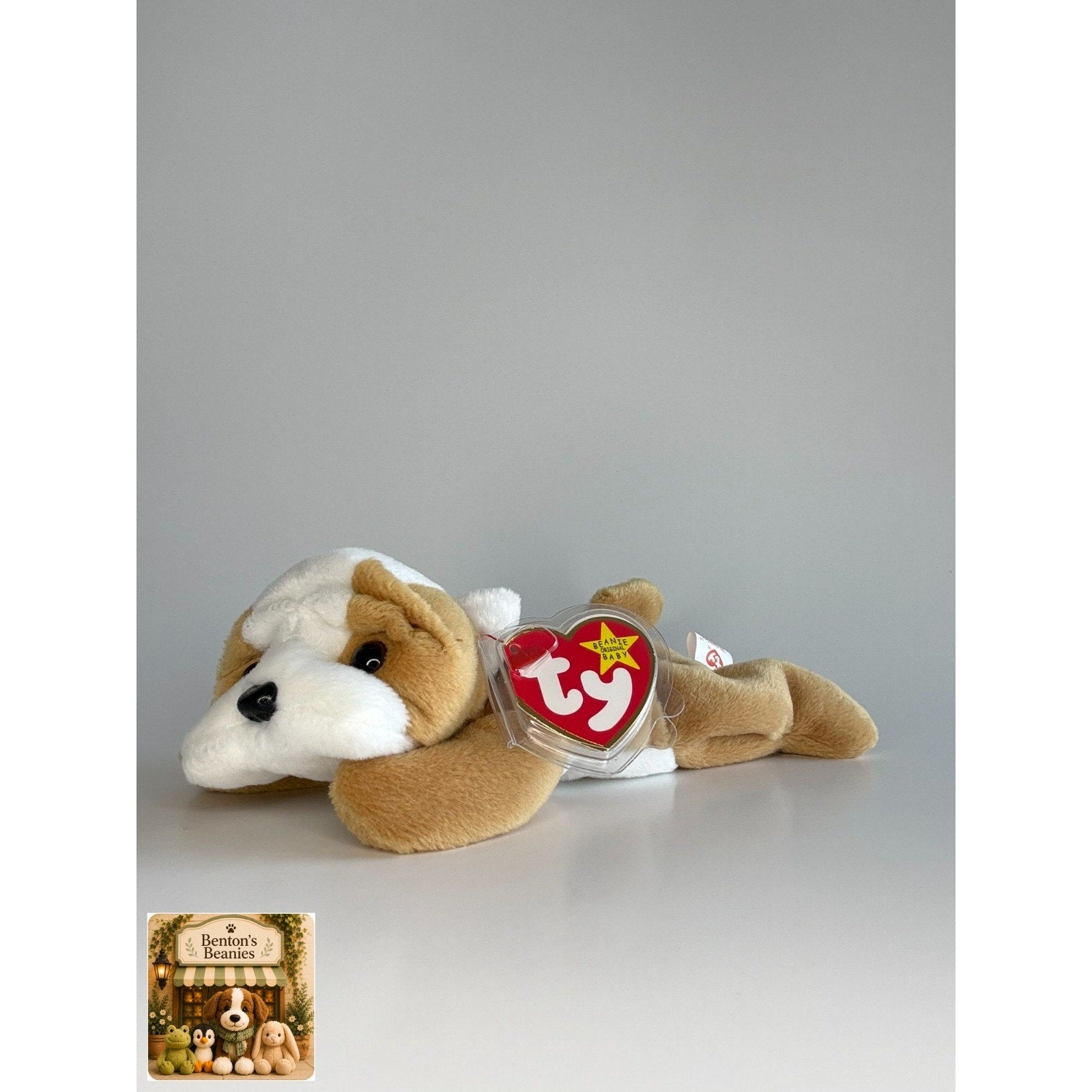 Wrinkles the Dog TY Beanie Baby | Mint Heart & Tush Tag