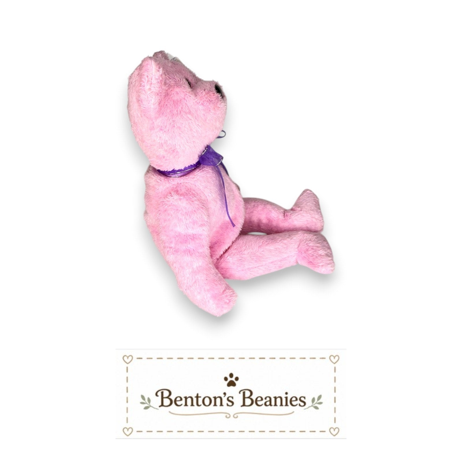 Eggs the Bear TY Beanie Baby | Mint Heart & Tush Tag