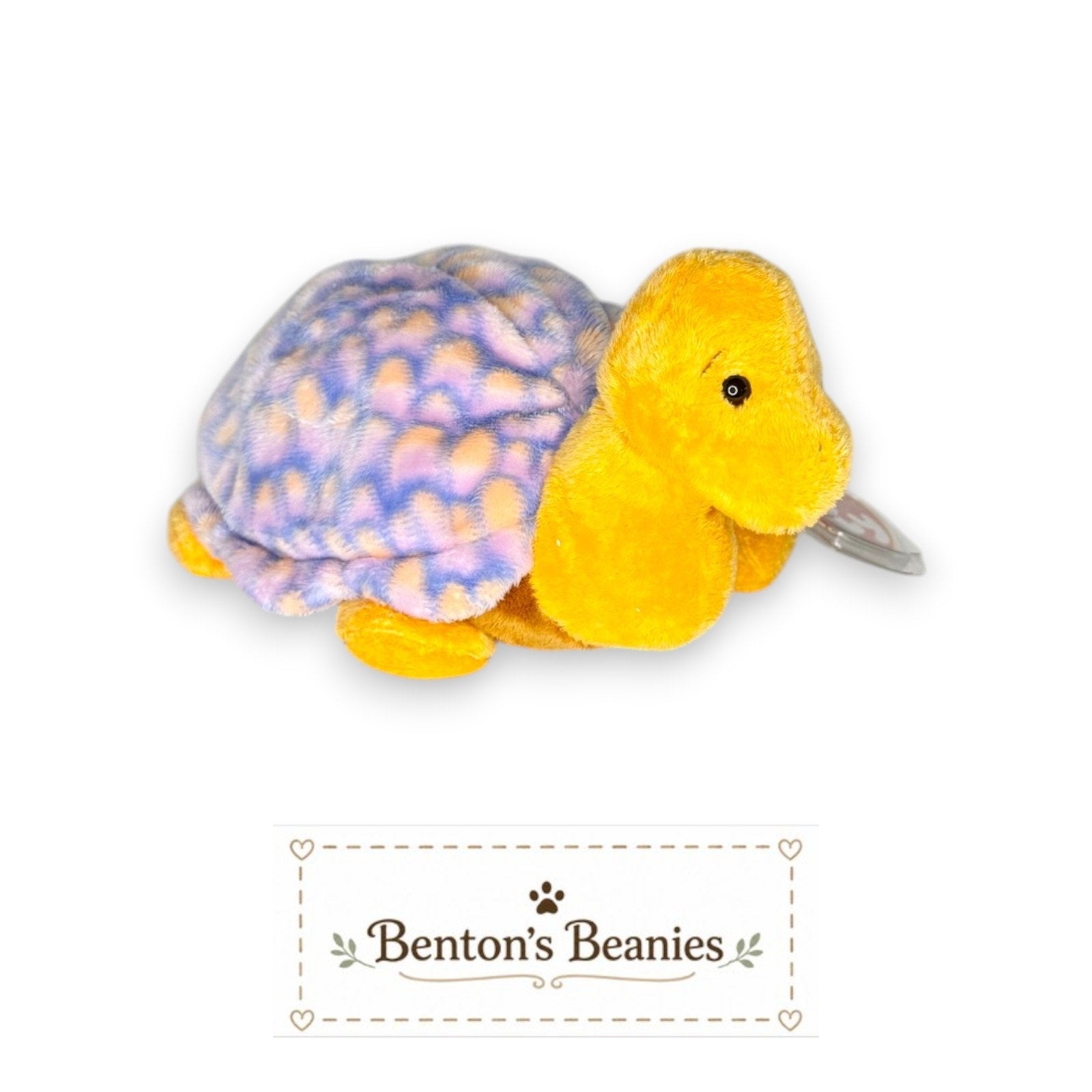 Cruiser the Turtle TY Pluffies | Mint Heart and Tush Tags