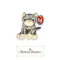 Silver the Cat TY Beanie Baby | Mint Heart & Tush Tag