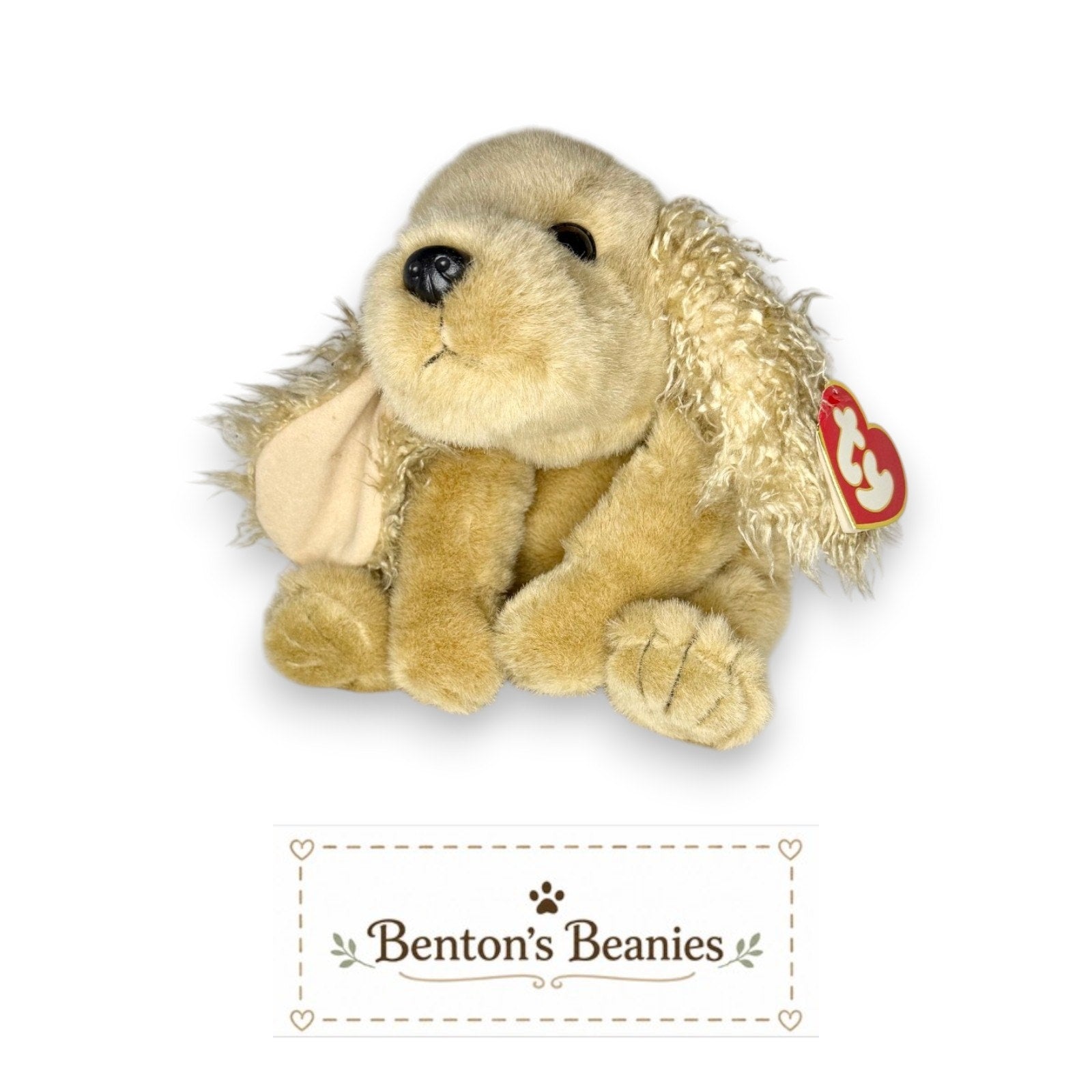 Charlie the Dog TY Classic (Beanie Buddies Size) | Mint Tags