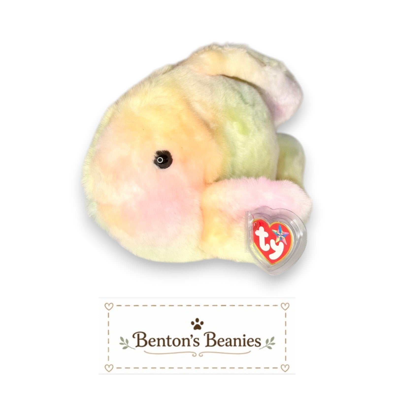 Coral the Fish TY Beanie Buddies | Mint Tags