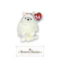 Snocap the Artic Fox Beanie Baby | Mint Heart & Tush Tag