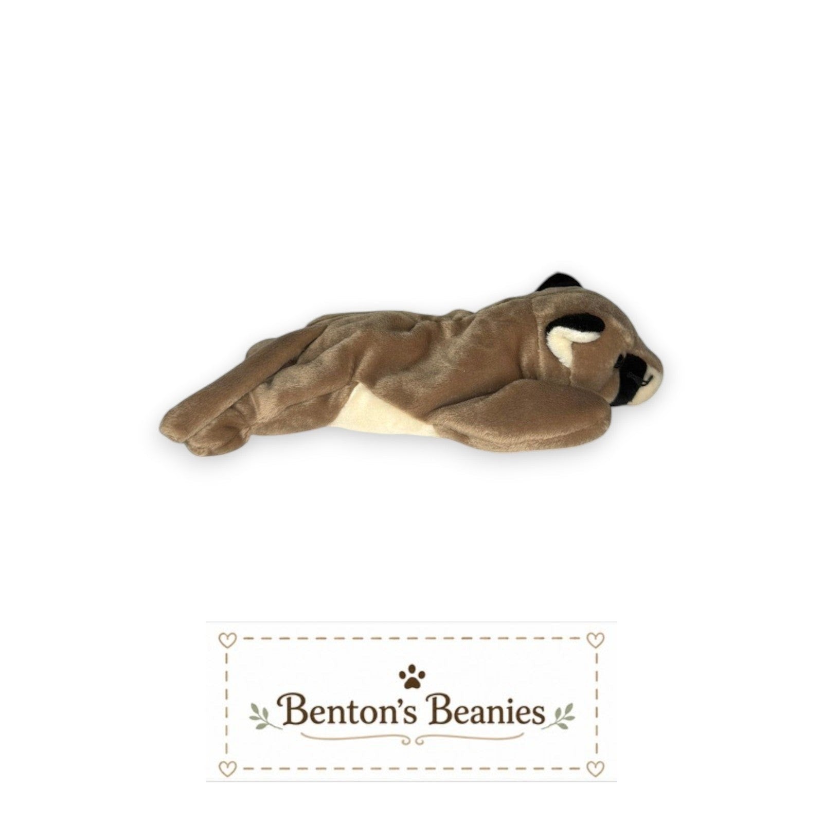Canyon the Cougar TY Beanie Baby | Mint Heart/Tush Tag