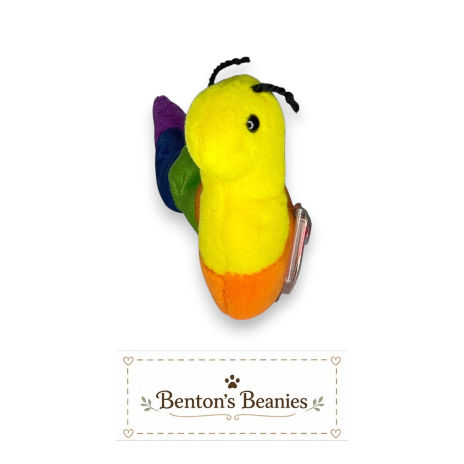 Benton's Beanies Inch the Worm TY Beanie Baby with vibrant rainbow-striped plush body and original tags attached.