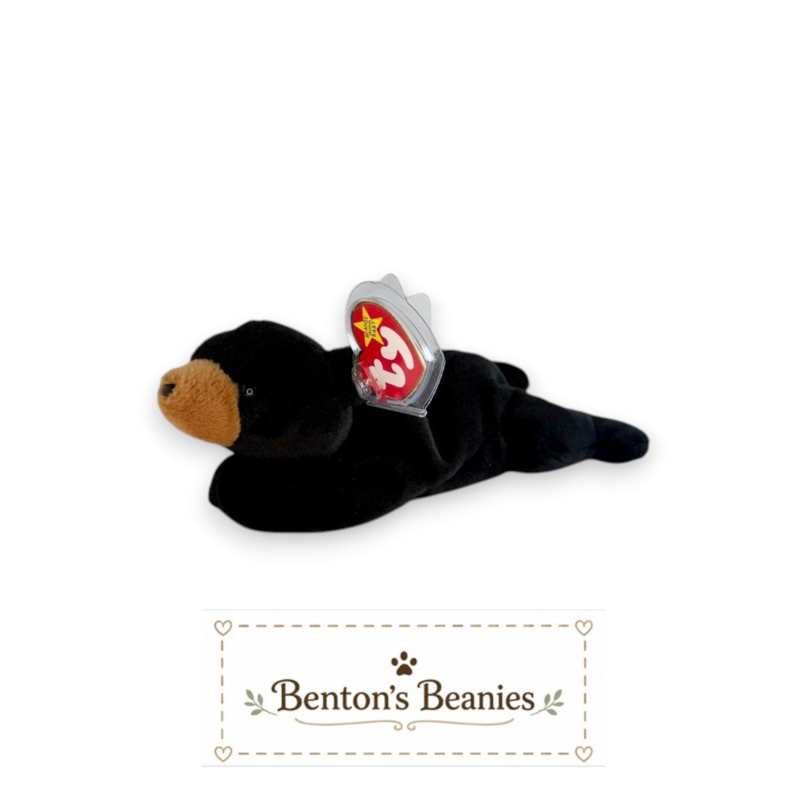 Benton's Beanies Blackie the Bear TY Beanie Baby, black plush with brown snout, mint tags.