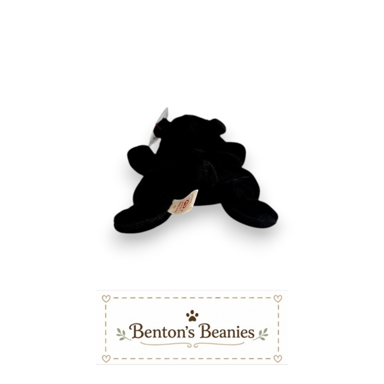 Benton's Beanies Blackie the Bear TY Beanie Baby, black plush with brown snout, classic floppy design, mint tags.