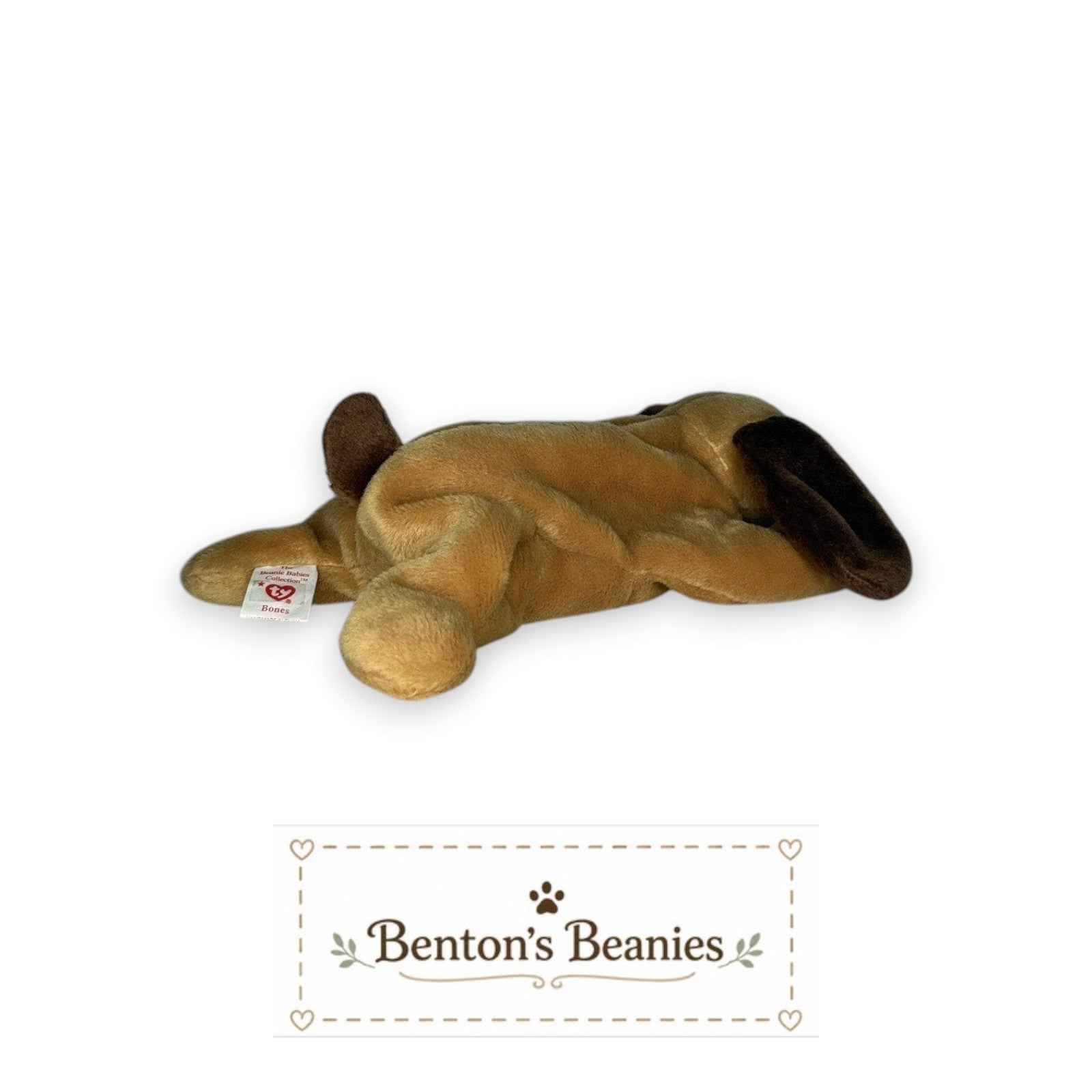 Benton's Beanies Bones the Dog TY Beanie Baby in tan plush with brown ears and mint condition tag.