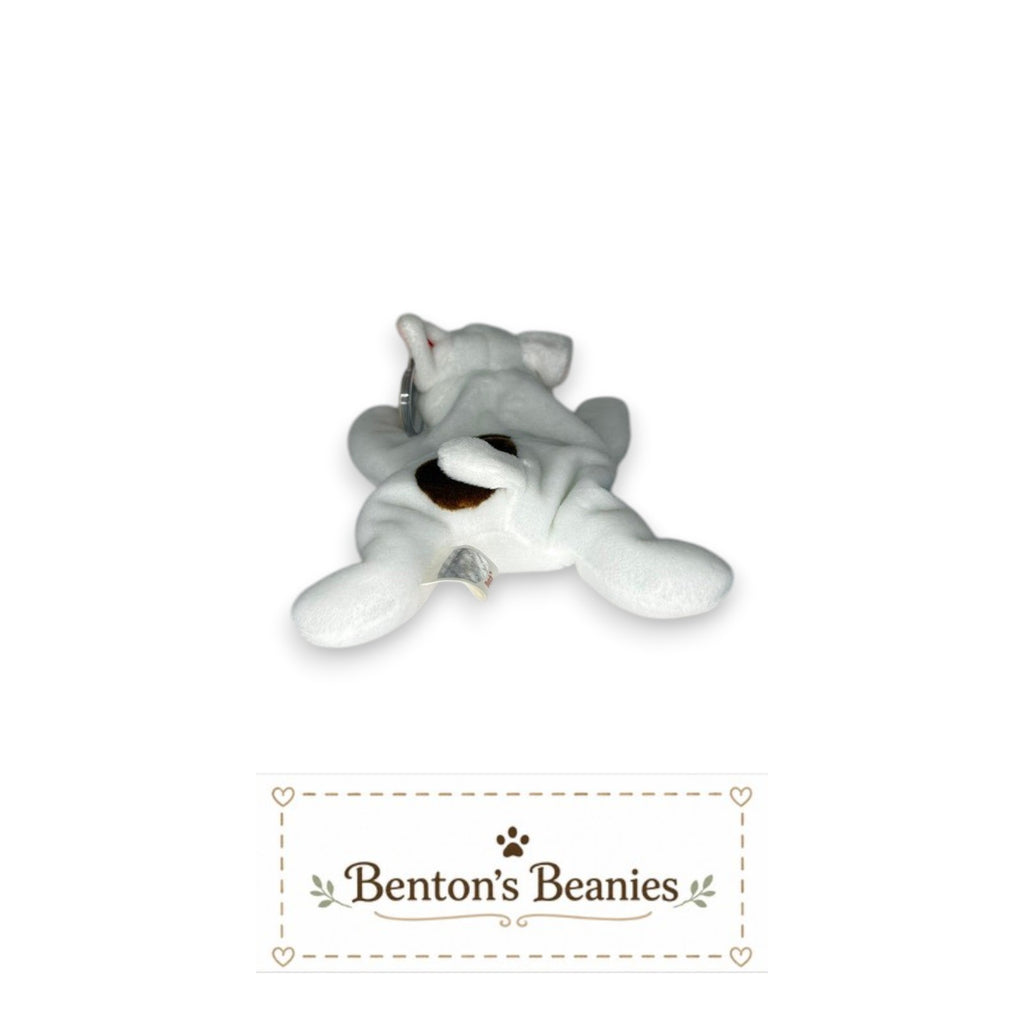 Benton's Beanies Butch the Dog Ty Beanie Baby, white plush with brown eye patch and floppy ears, lying down.