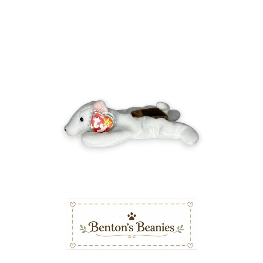 Benton's Beanies Butch the Dog TY Beanie Baby, white plush with brown eye patch and floppy ears, collectible toy.