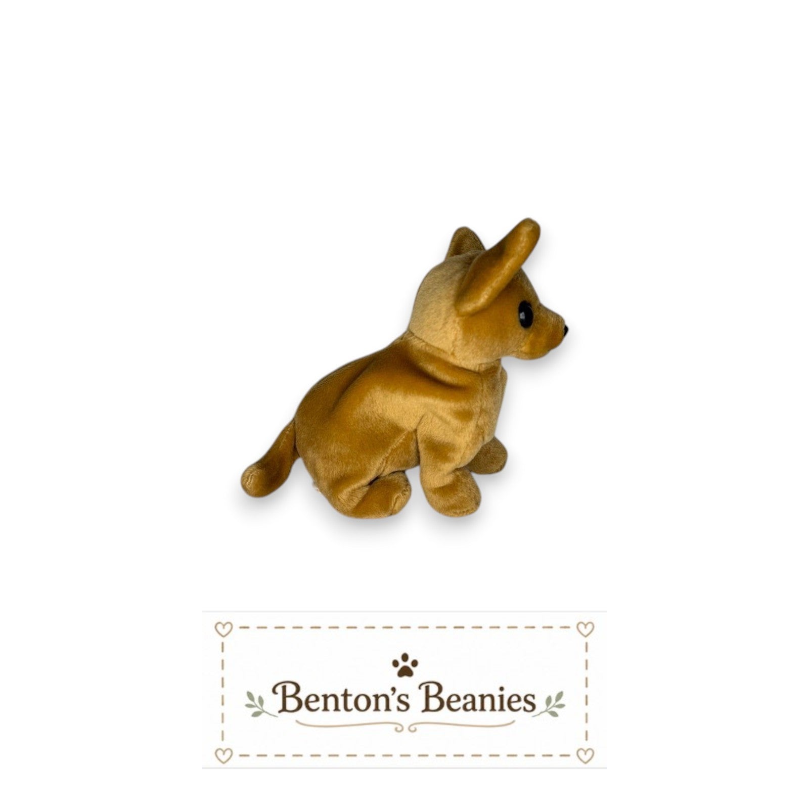Benton's Beanies Tiny the Chihuahua Ty Beanie Baby plush toy, caramel-colored with oversized ears.