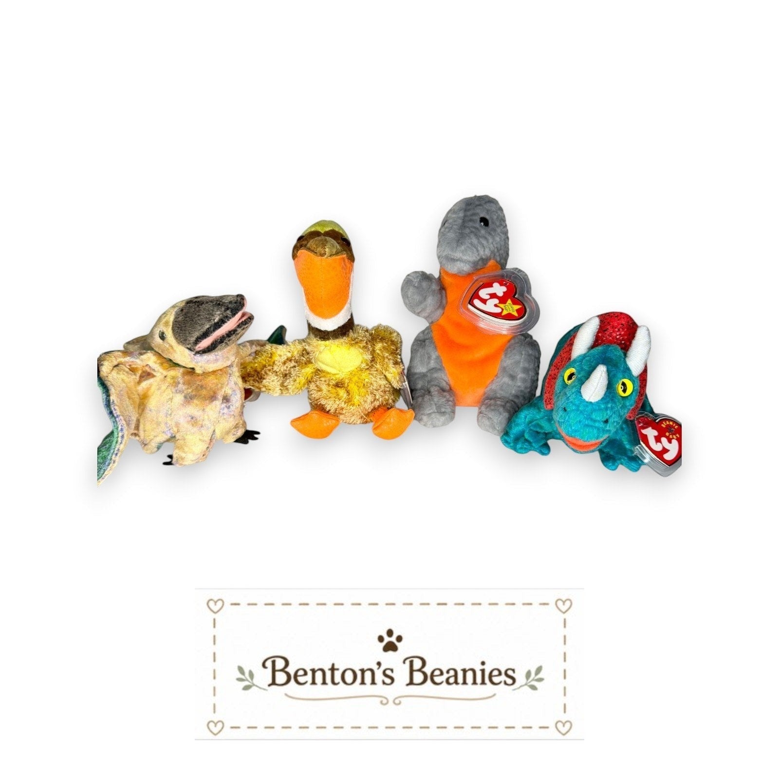 Benton's Beanies collection of four plush dinosaurs: a Pteranodon, a duck-billed dinosaur, a grey Triceratops with orange belly, and a teal Triceratops.