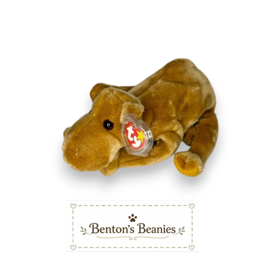 Benton's Beanie Buddies Humphrey the Camel plush toy, golden-brown, floppy legs, classic Ty design.