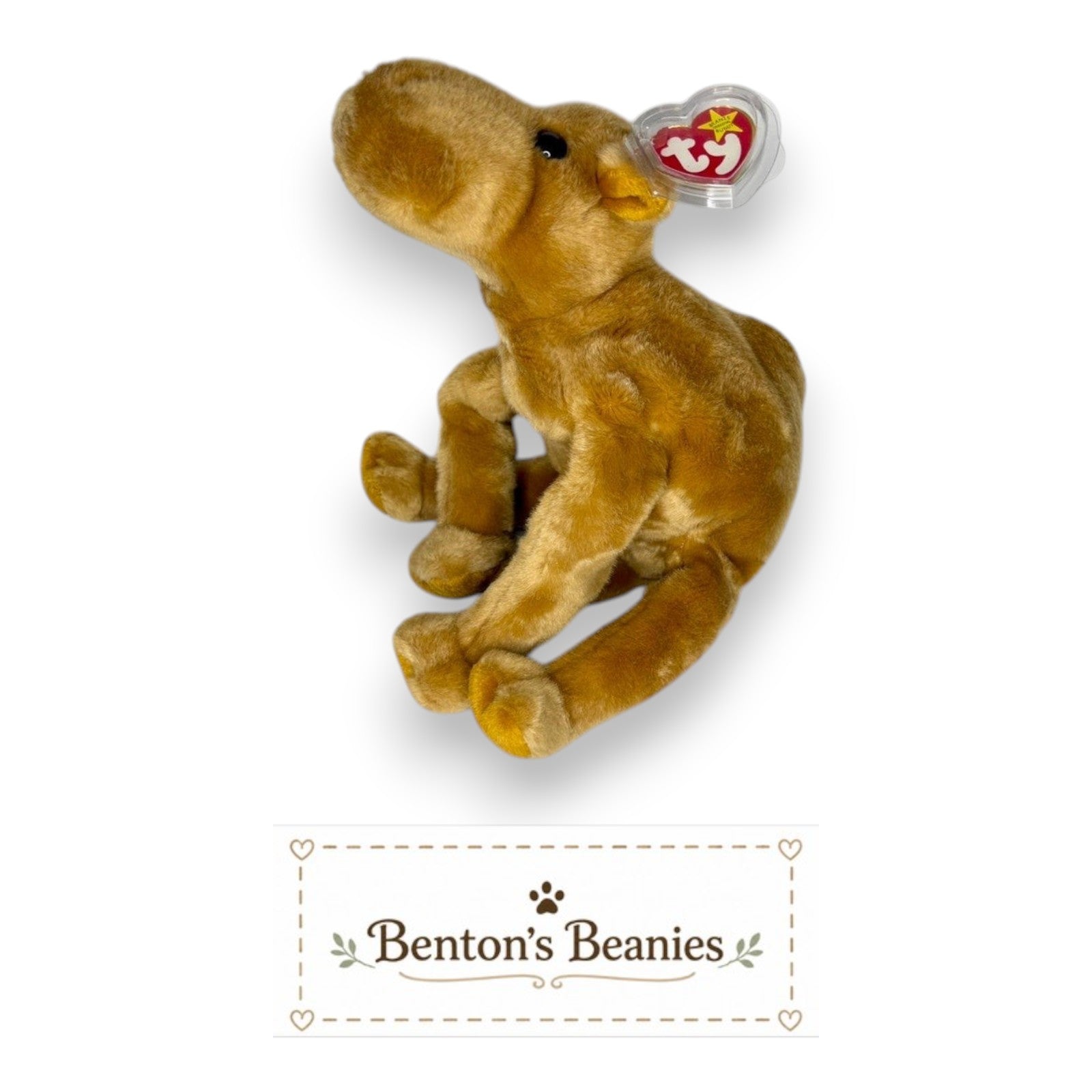 Benton's Beanie Buddies Humphrey the Camel plush toy, golden-brown, floppy legs, classic design with mint tags.