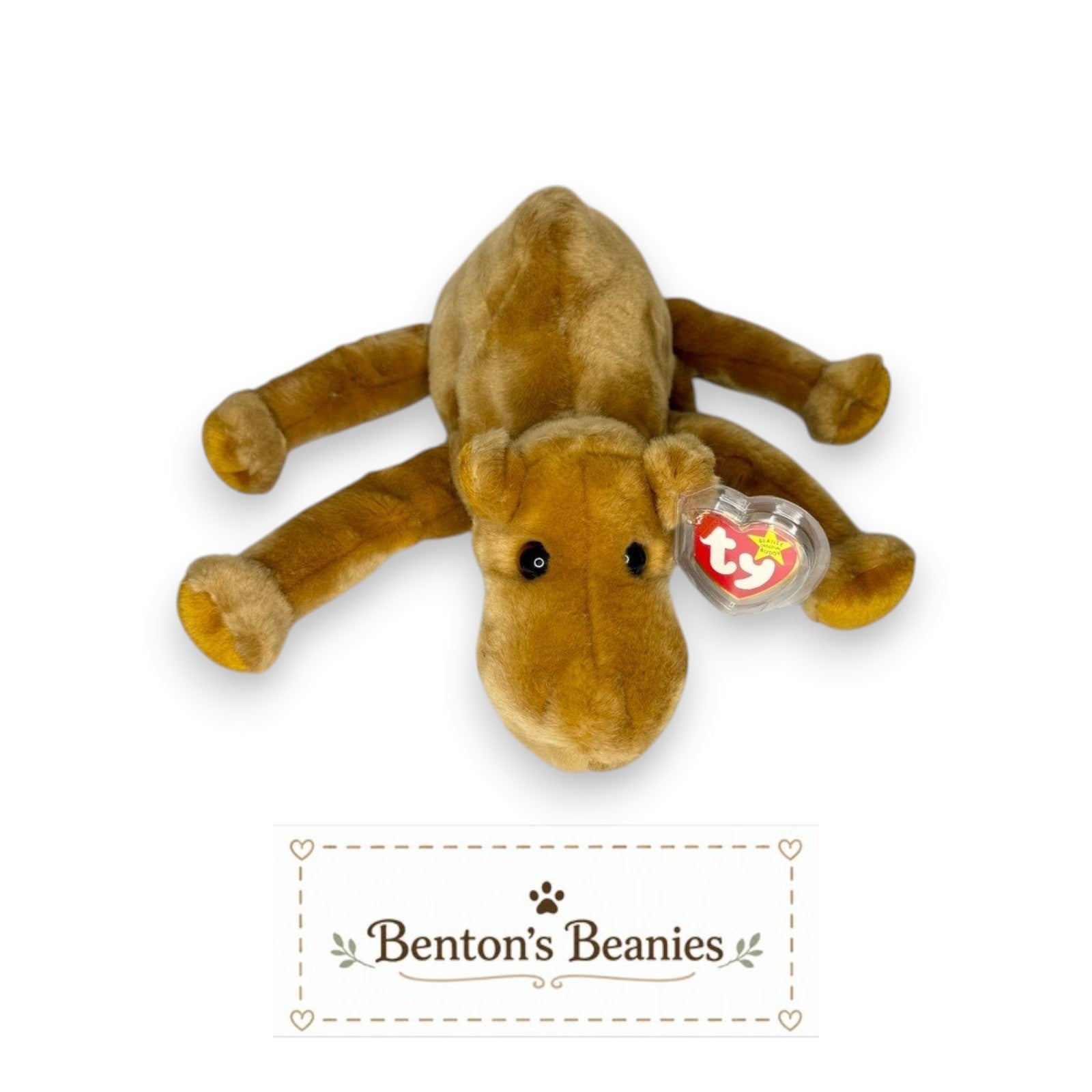 Benton's Beanies Humphrey the Camel Beanie Buddy plush, golden-brown, floppy legs, classic Ty design with mint tags.
