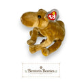 Benton's Beanie Buddies Humphrey the Camel plush toy, golden-brown, floppy legs, classic Ty design.