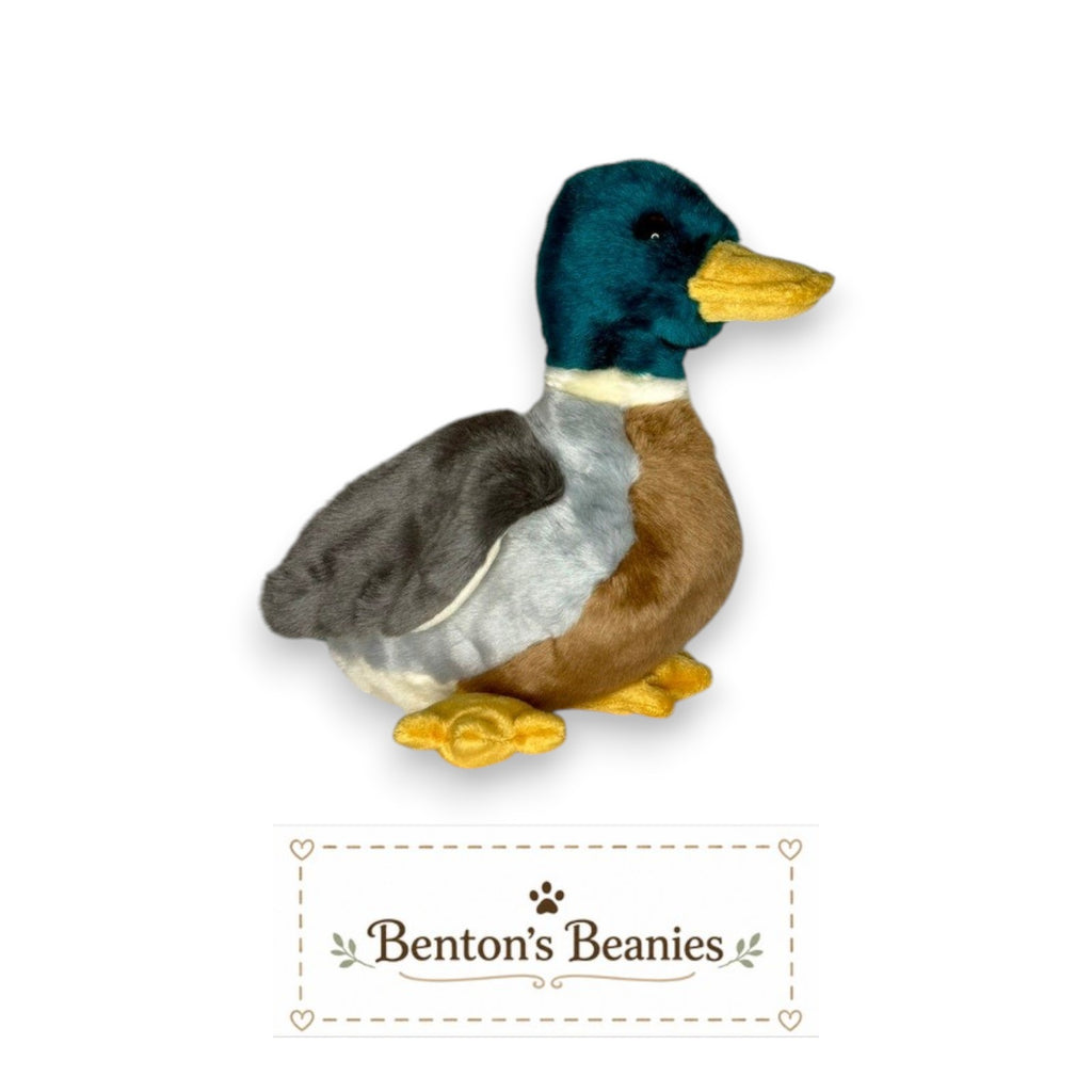 Benton's Beanies Jake the Duck Ty Beanie Buddy plush toy with forest green head, yellow bill, and brown, gray, and cream body.