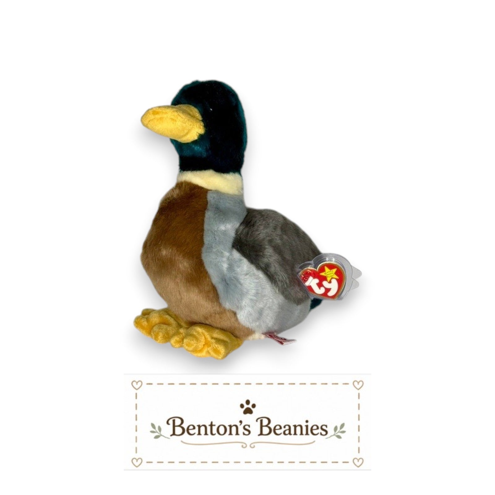 Benton's Beanies Jake the Duck Ty Beanie Buddy plush toy with green, brown, gray, and cream colors, and a yellow bill.