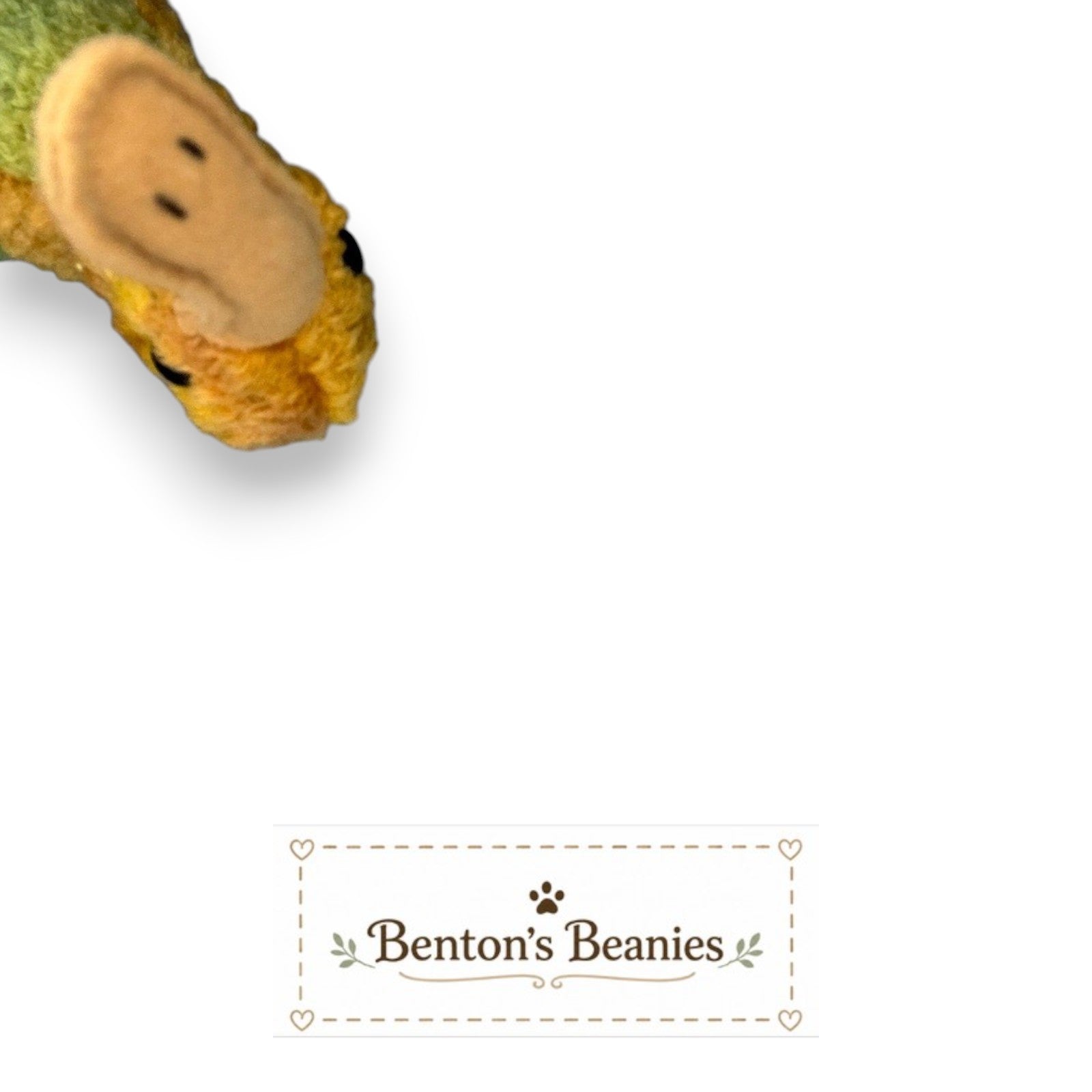 Benton's Beanie Baby Beak the Kiwi Bird plush toy with yellow and green fuzzy texture and large beak.