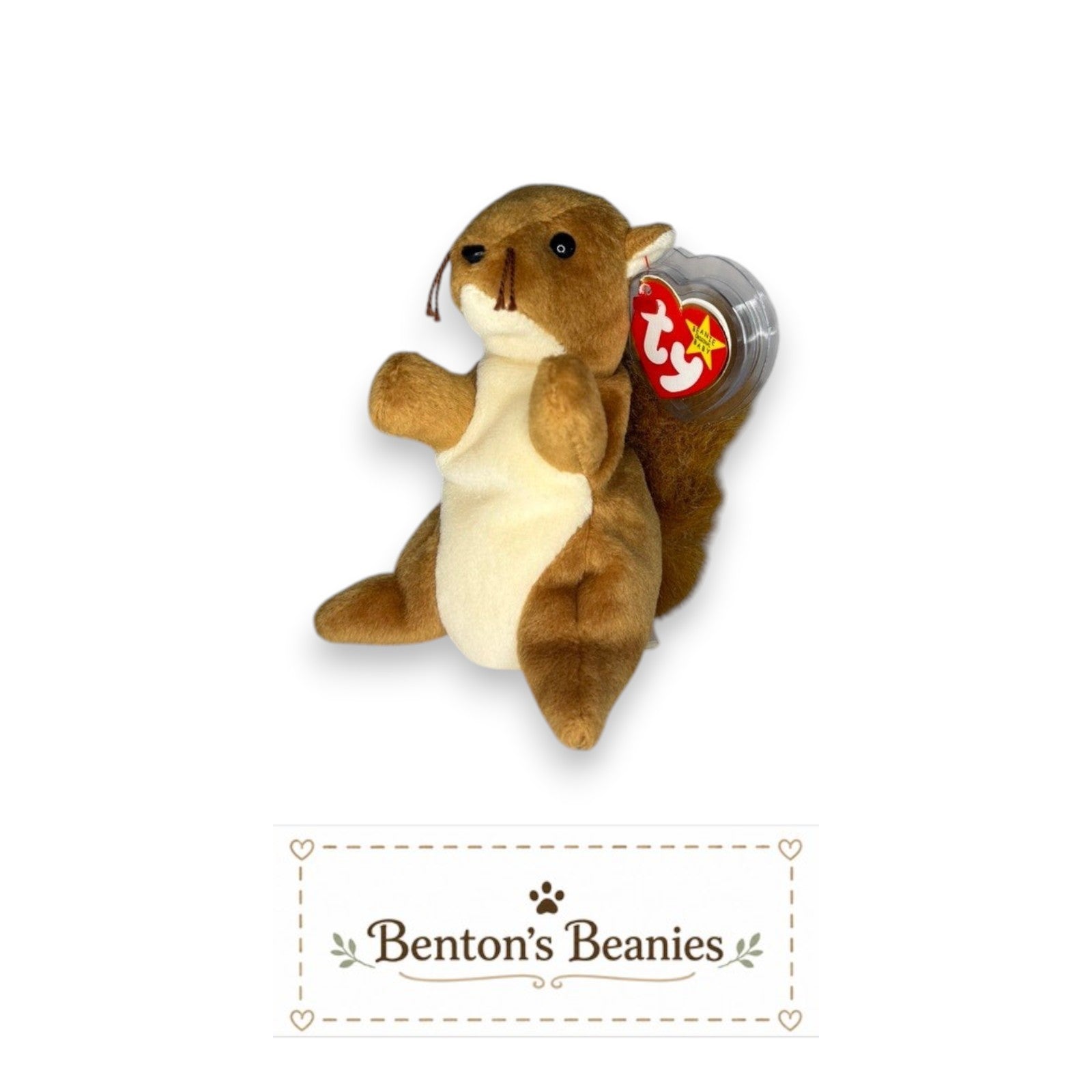 Benton's Beanies Nuts the Squirrel Ty Beanie Baby with brown plush, fluffy tail, and original heart tag.