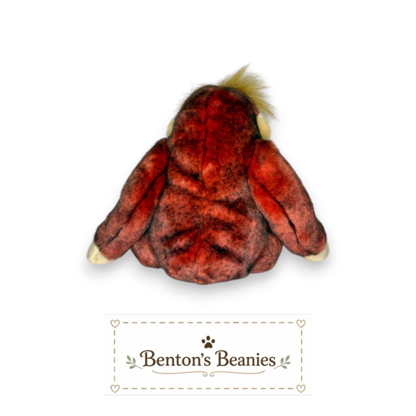 Benton's Beanies Schweetheart the Orangutan Ty Beanie Buddy, red and black plush with fluffy golden hair tuft.