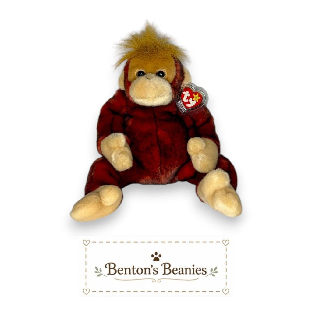 Benton's Beanies Schweetheart the Orangutan Ty Beanie Buddy plush toy with red-and-black fur, cream face, and fluffy golden hair.
