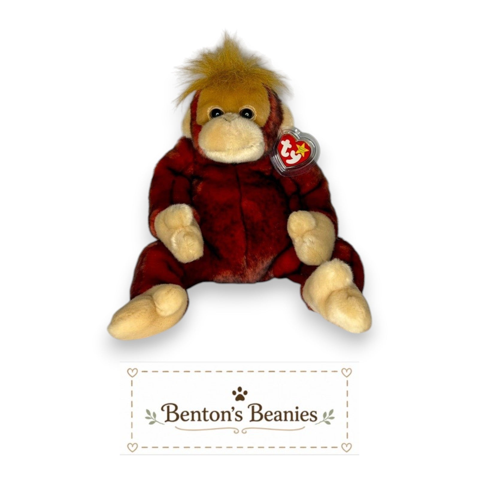 Benton's Beanies Schweetheart the Orangutan Ty Beanie Buddy plush toy with red-and-black fur, cream face, and fluffy golden hair.