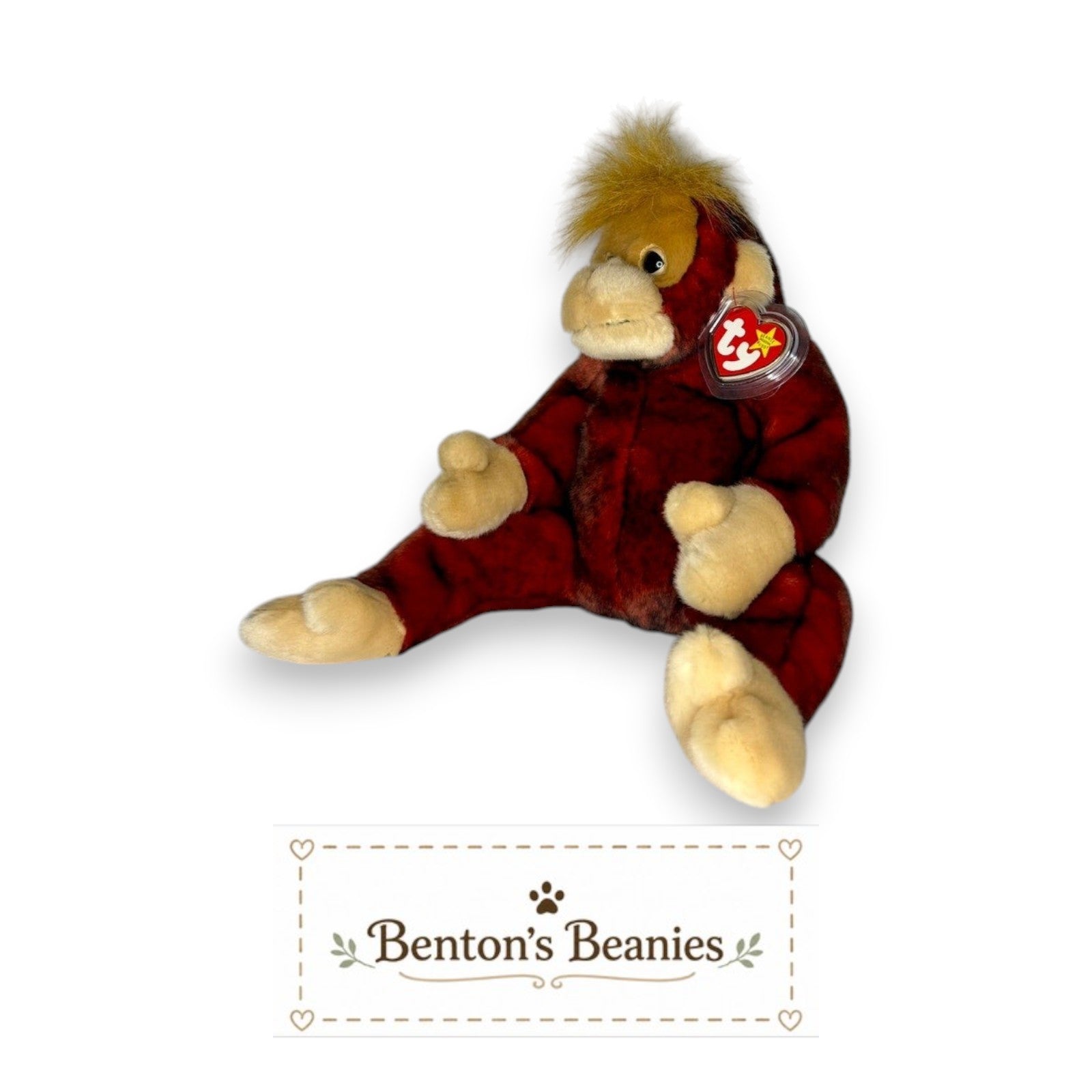 Benton's Beanies Schweetheart the Orangutan Ty Beanie Buddy plush toy with red and black fur, cream face, and fluffy golden hair.