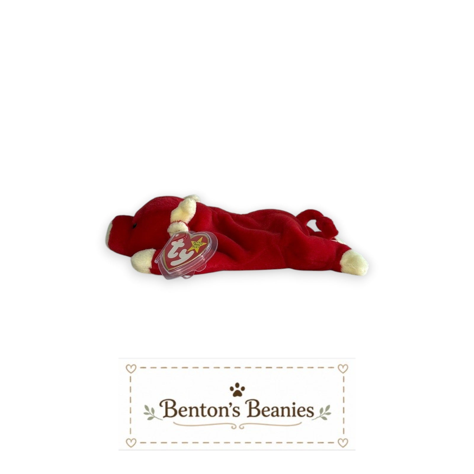 Benton's Beanies red plush bull Ty Beanie Baby with cream accents and mint tags, lying down.