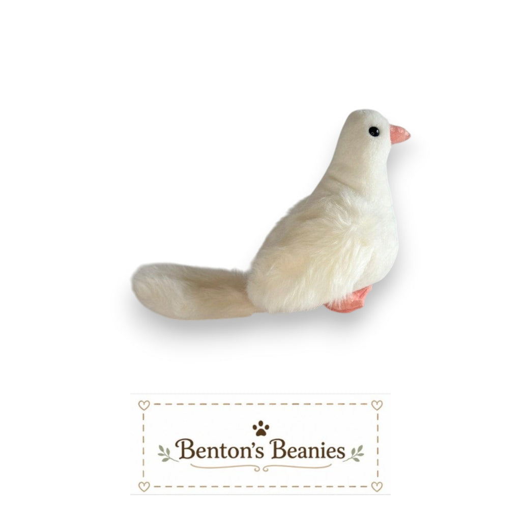 Benton's Beanies Serenity the Dove Ty Beanie Baby with white plush, peach beak, and feet on a white background.