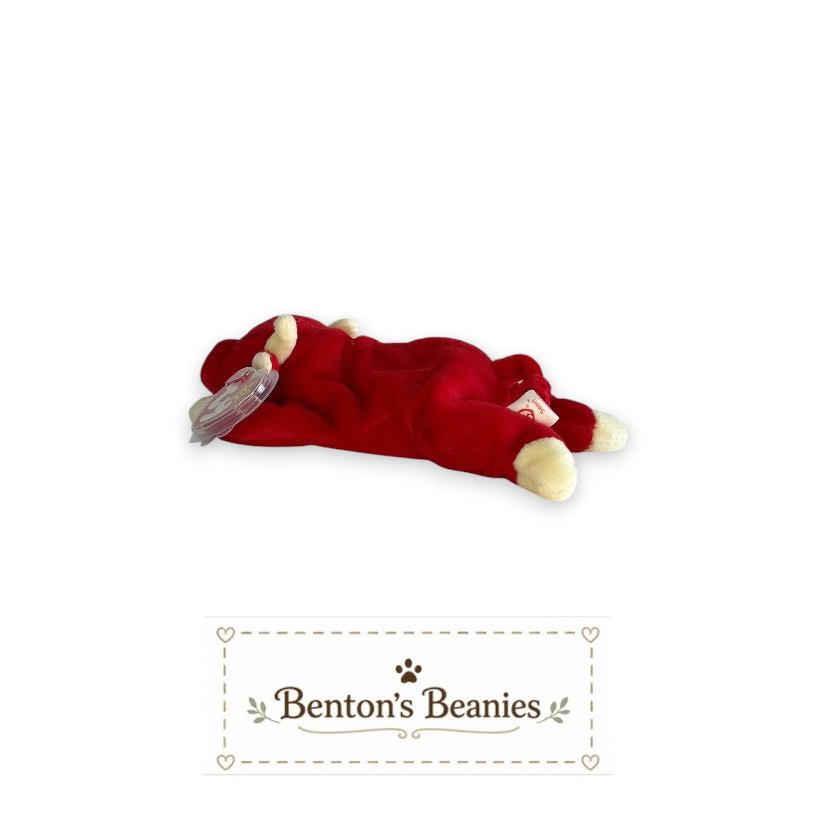 Benton's Beanies Snort the Bull Ty Beanie Baby, red plush with cream accents, mint tags.