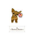 Benton's Beanies Tiny the Chihuahua Ty Beanie Baby, caramel plush with oversized ears and expressive eyes.