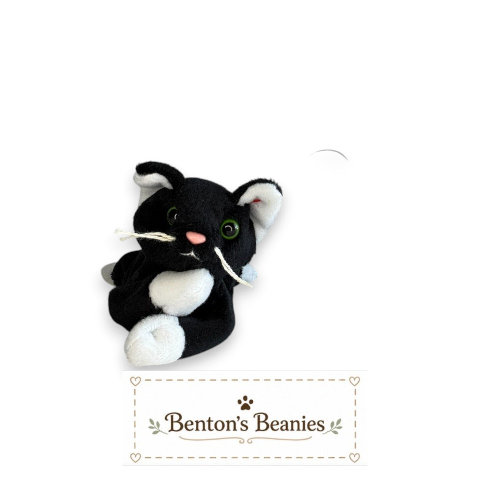 Benton's Beanies Zip the Cat Ty Beanie Baby with black and white plush fur, green eyes, and original heart tag