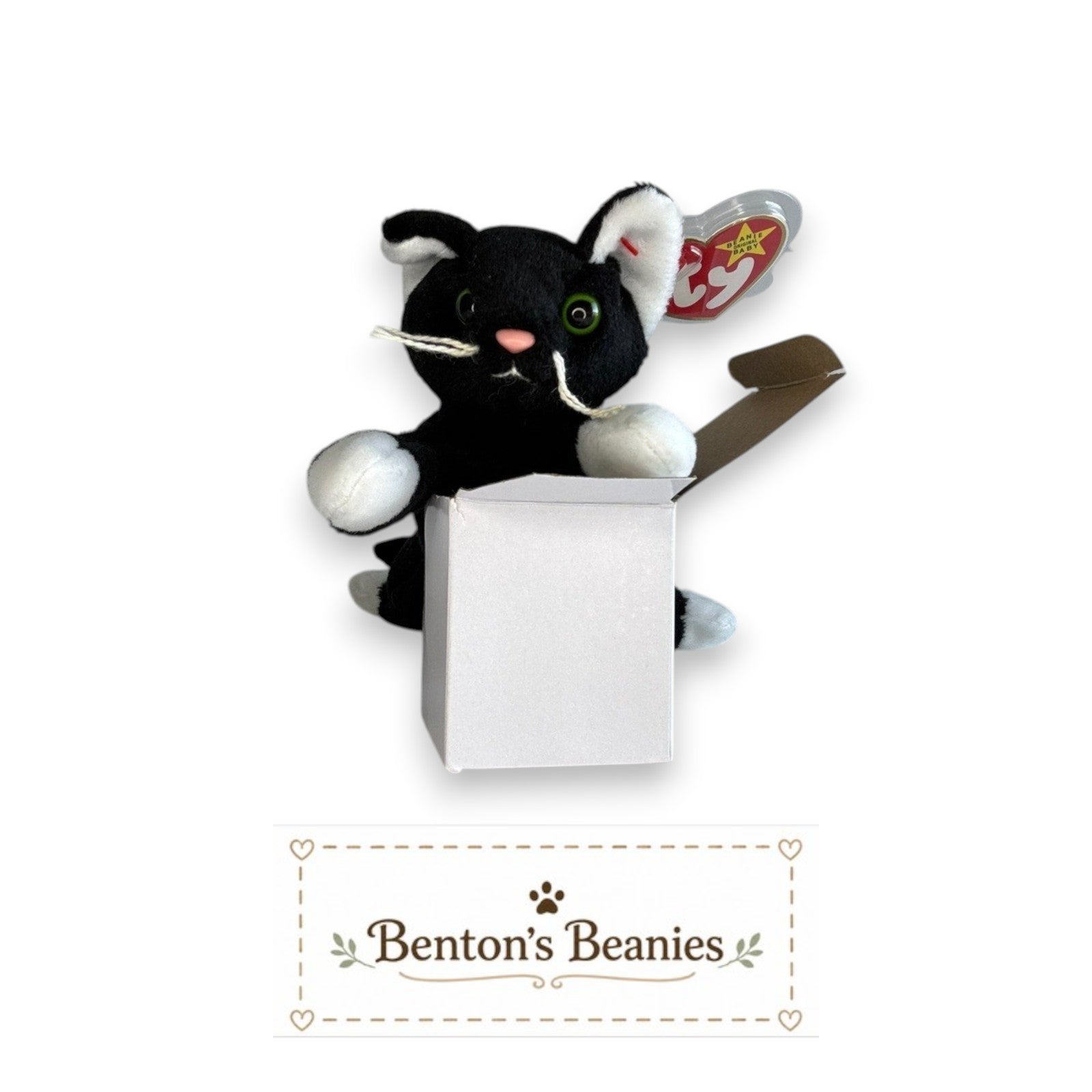 Benton's Beanies Zip the Cat Ty Beanie Baby with black and white plush fur, green eyes, and original tag in a box