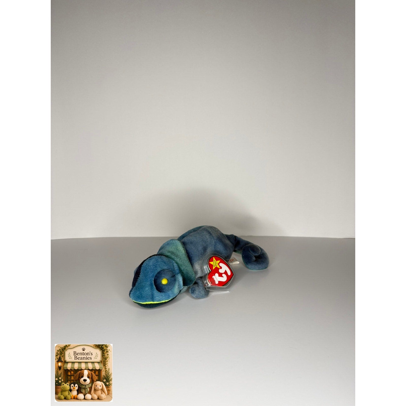 Rainbow the Chameleon TY Beanie Baby | Mint Heart & Tush Tag