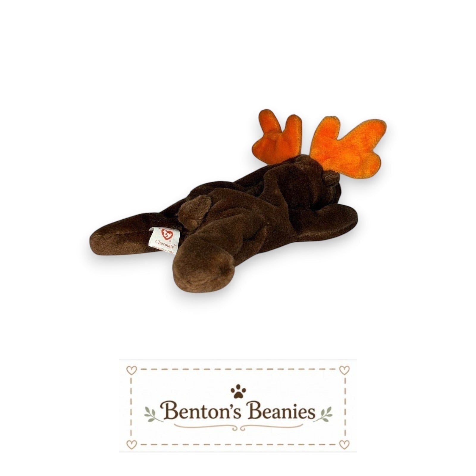Chocolate the Moose TY Beanie Baby  | Mint Heart & Tush Tag