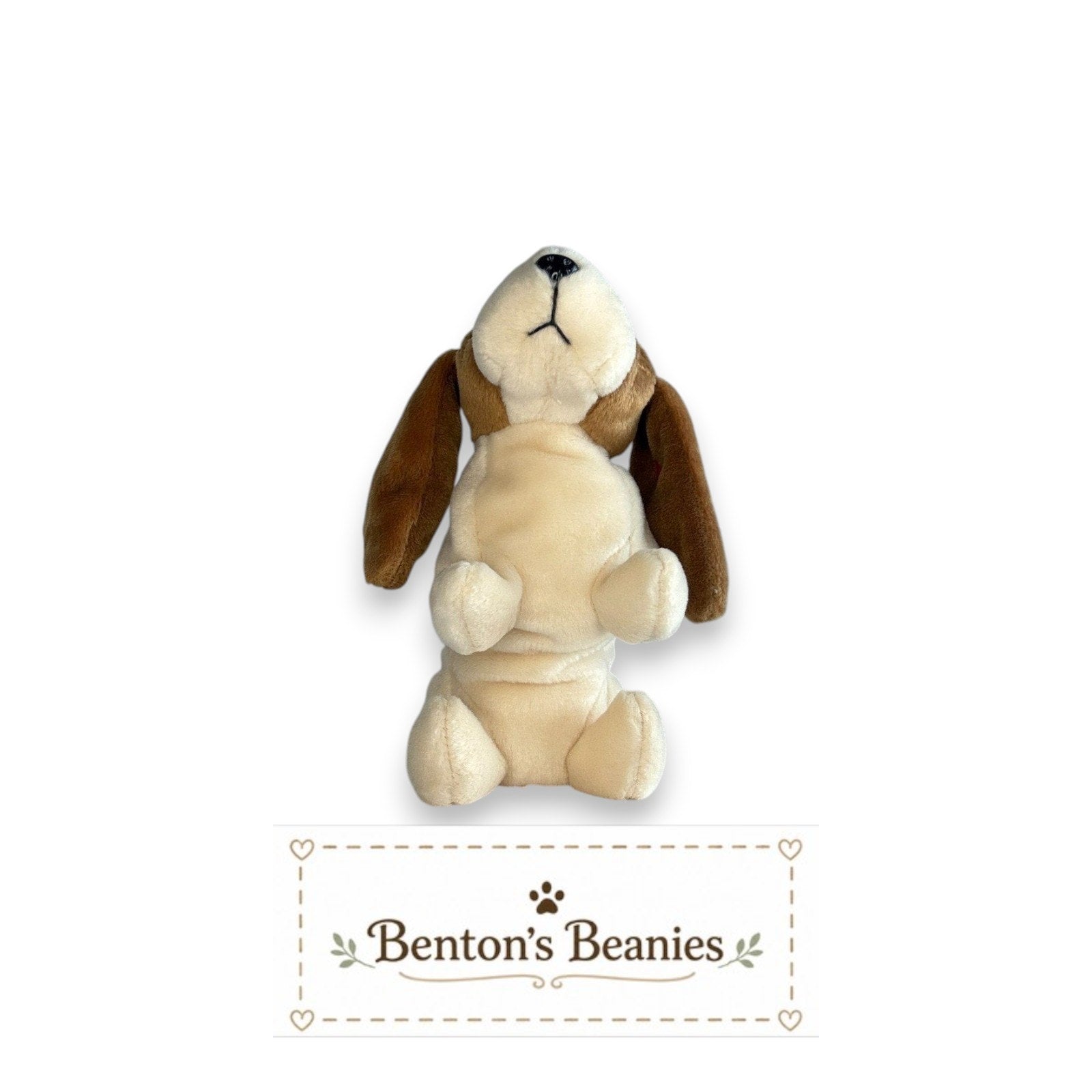 Tracker the Dog TY Beanie Baby | Mint Heart & Tush Tag