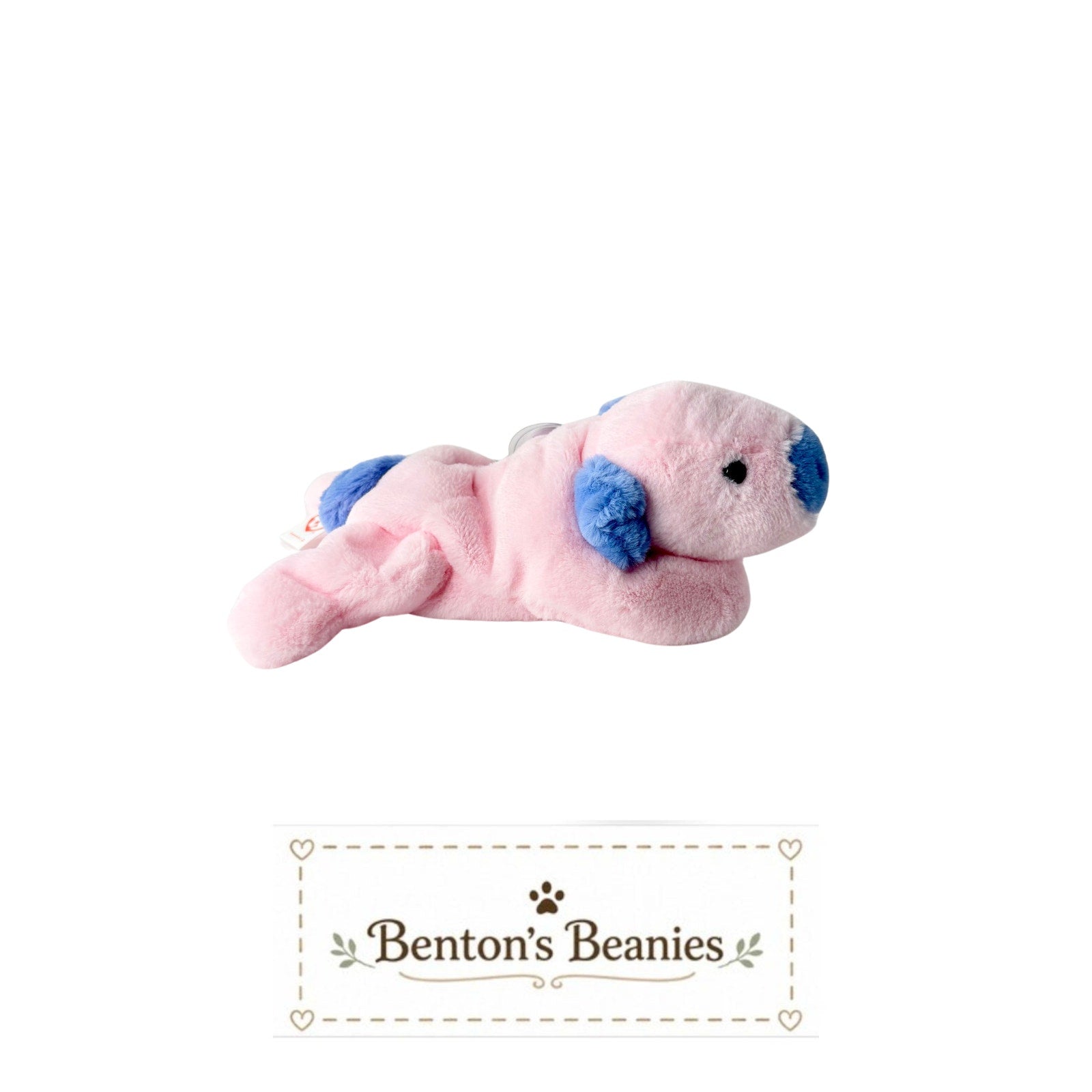 Squealer II the Pig TY Beanie Baby | Mint Heart & Tush Tag