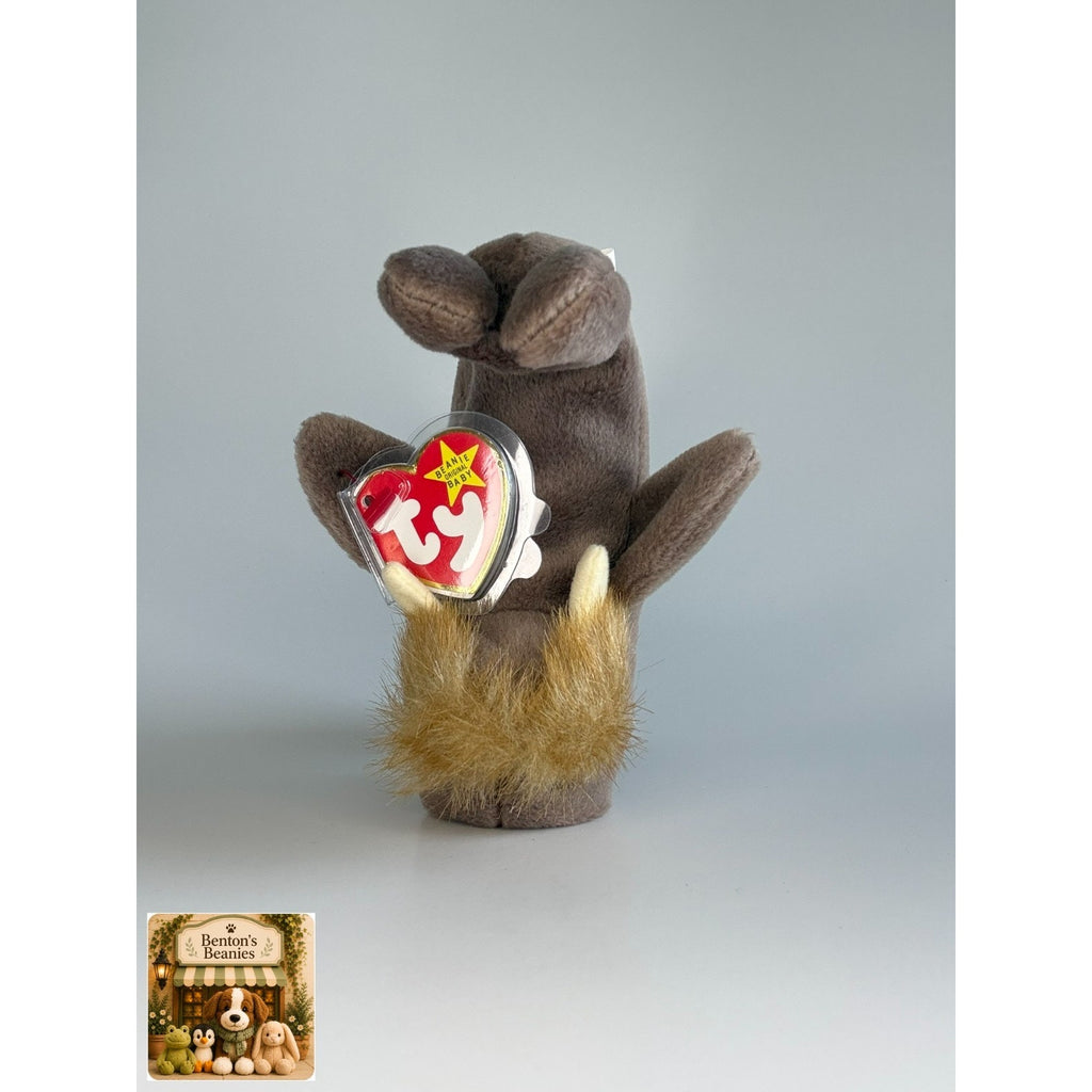 Jolly the Walrus TY Beanie Baby | Mint Heart & Tush Tag