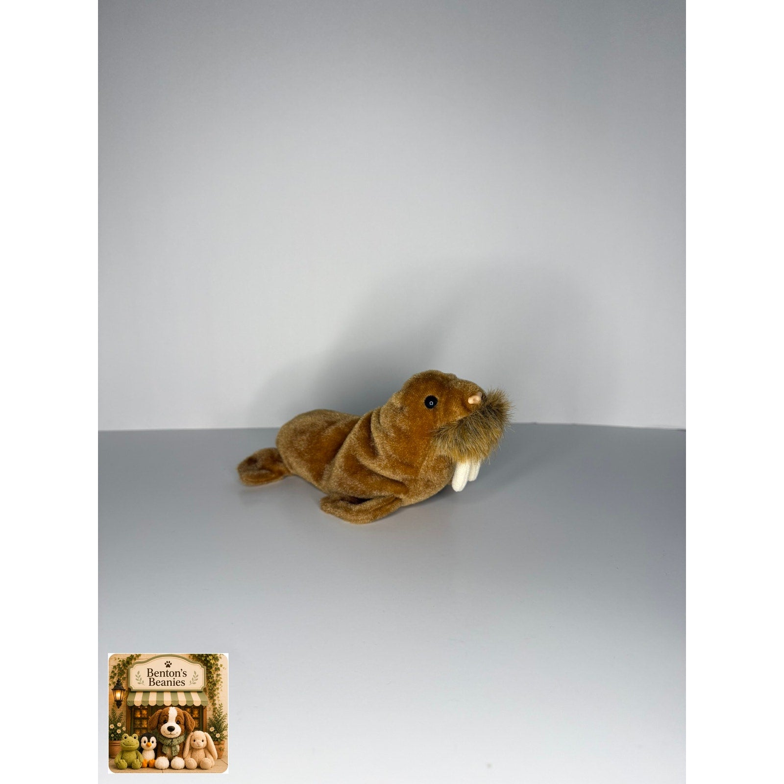 Paul the Walrus TY Beanie Baby | Mint Heart & Tush Tag